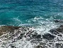 Aquatic